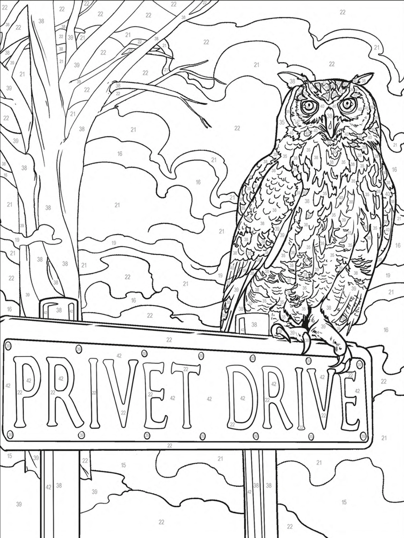 Harry Potter - Pintura por Números