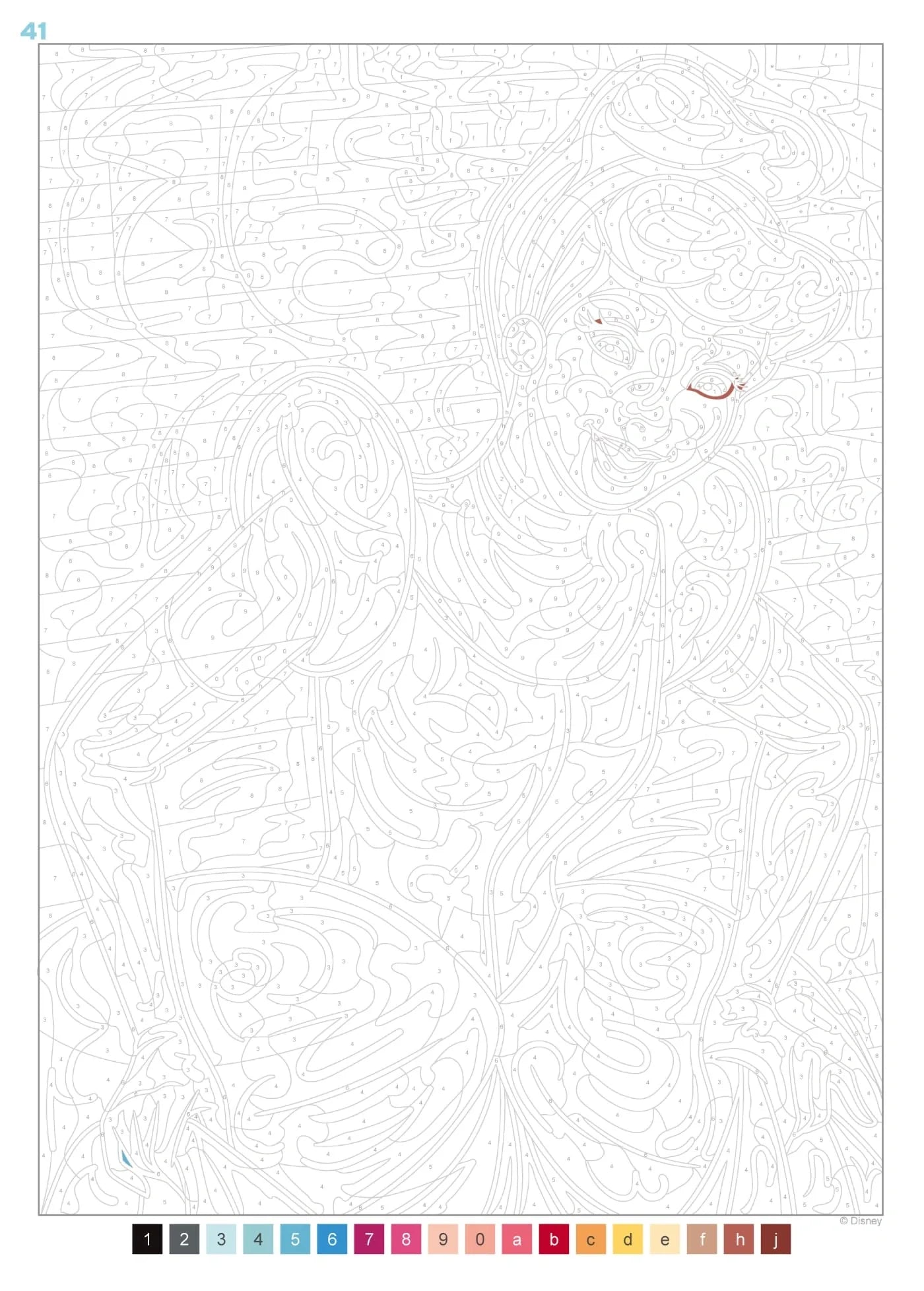 Princesas - Pintura por Números